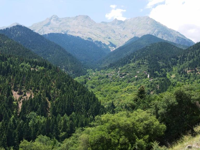 ΒΑΡΔΟΥΣΙΑ - ΚΟΡΑΚΑΣ