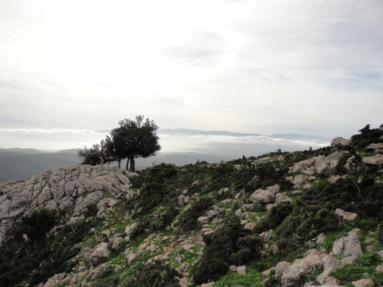 ΓΕΡΑΝΕΙΑ ΟΡΗ 30/11