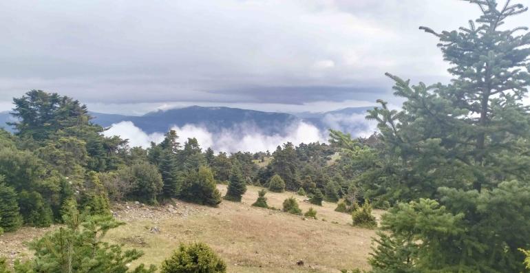 ΠΑΡΝΗΘΑ 14/12/2025