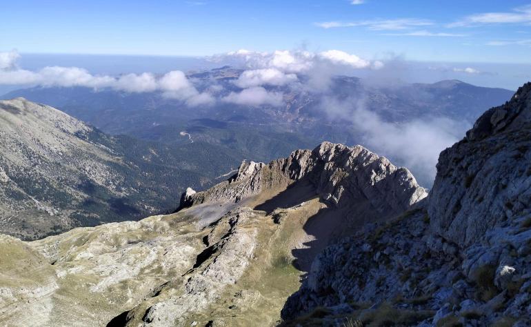ΜΑΙΝΑΛΟ - ΟΡΕΙΒΑΤΙΚΟ ΤΜΗΜΑ