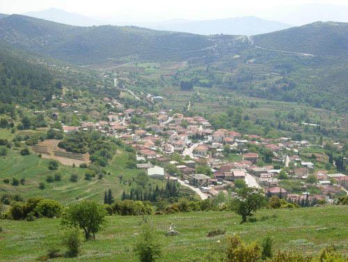 ΨΑΡΙ ΚΟΡΙΝΘΙΑΣ