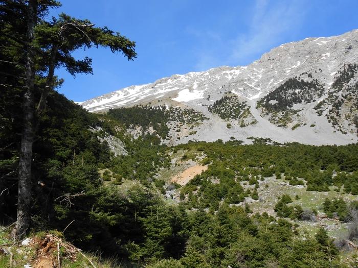 ΜΑΥΡΑ ΛΙΘΑΡΙΑ (ΠΑΡΝΑΣΣΟΣ)