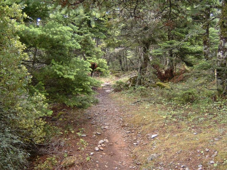 ΠΑΡΝΗΘΑ - ΟΡΕΙΒΑΤΙΚΟ