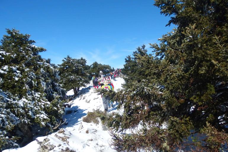 ΚΙΘΑΙΡΩΝΑΣ 2/2/2025