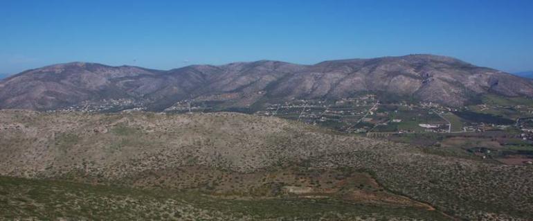 ΠΑΝΕΙΟ ΟΡΟΣ