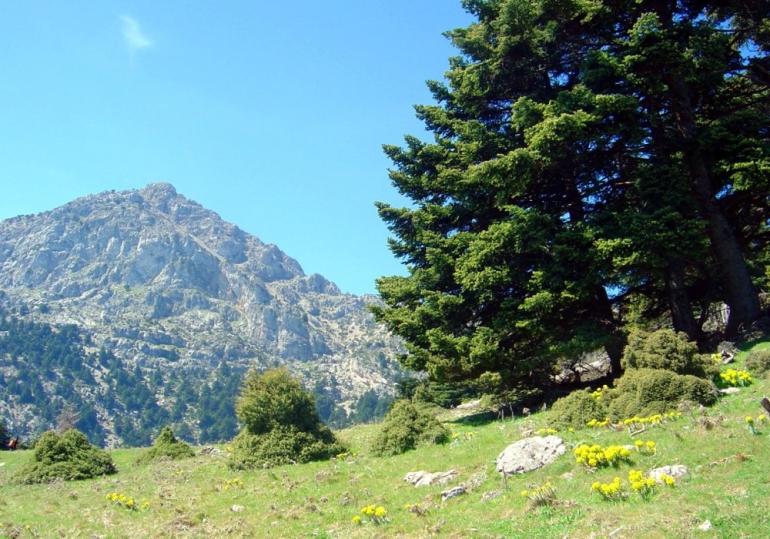 ΑΝΑΒΟΛΗ ΕΞΟΡΜΗΣΗΣ