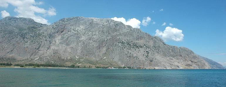 ΟΡΕΙΒΑΤΙΚΟ ΤΜΗΜΑ (ΒΑΡΑΣΟΒΑ)