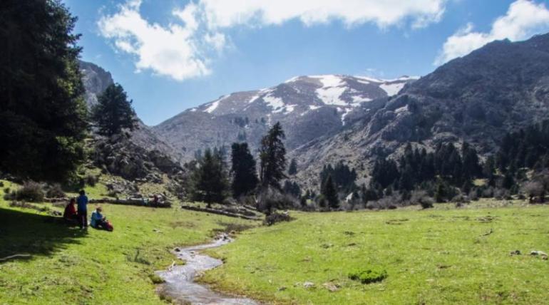 ΦΛΑΜΠΟΥΡΙΤΣΑ