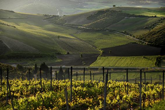 ΑΤΑΛΑΝΤΗ - ΚΤΗΜΑ ΧΑΤΖΗΜΙΧΑΛΗ