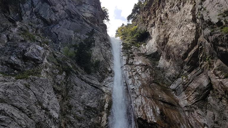 ΤΙΘΟΡΕΑ 1/11/2020