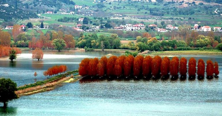 ΜΟΝΟΗΜΕΡΗ ΣΤΗ ΣΤΥΜΦΑΛΙΑ