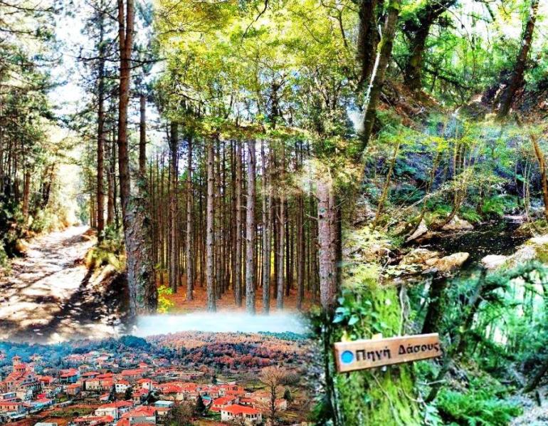 ΔΑΣΟΣ ΣΚΥΡΙΤΙΔΑΣ- ΠΗΓΕΣ ΕΥΡΩΤΑ