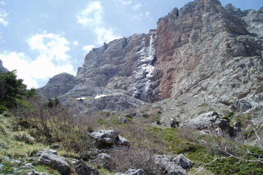 Add Image Description