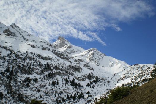 Add Image Description