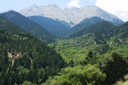 Add Image Description