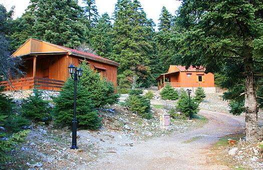 Add Image Description