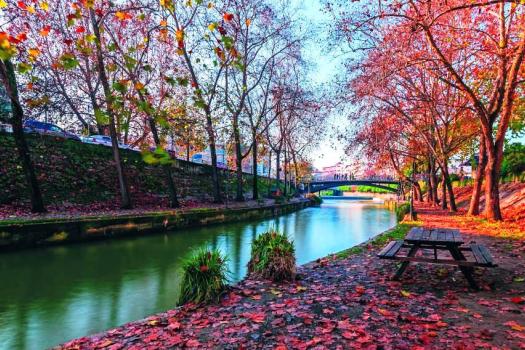 Add Image Description