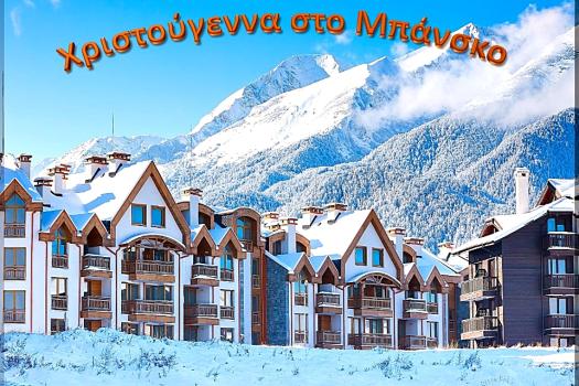 Add Image Description