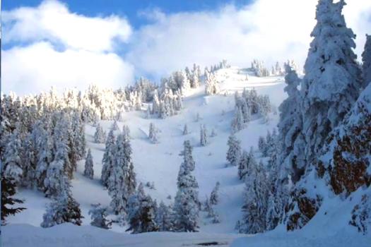 Add Image Description