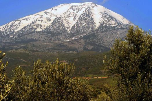 Add Image Description