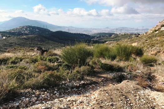 Add Image Description