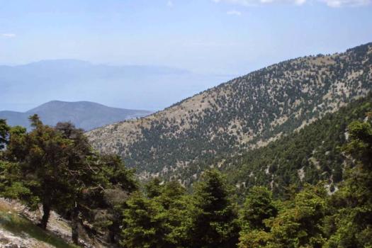 Add Image Description