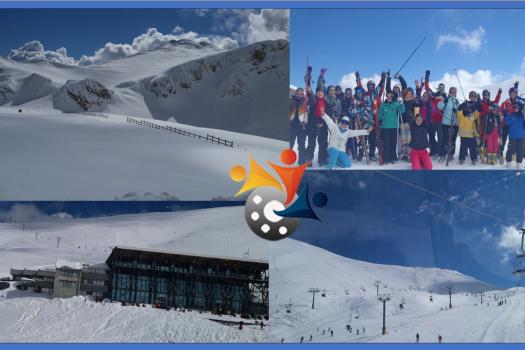 Add Image Description