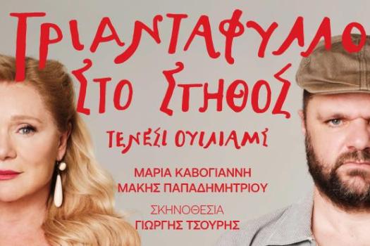 Add Image Description