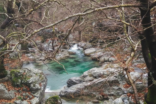 ΦΑΡΑΓΓΙ ΑΓΑΛΗΣ