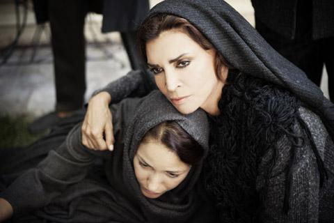 Add Image Description