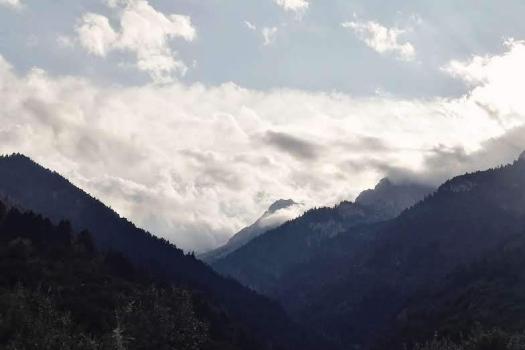 Add Image Description