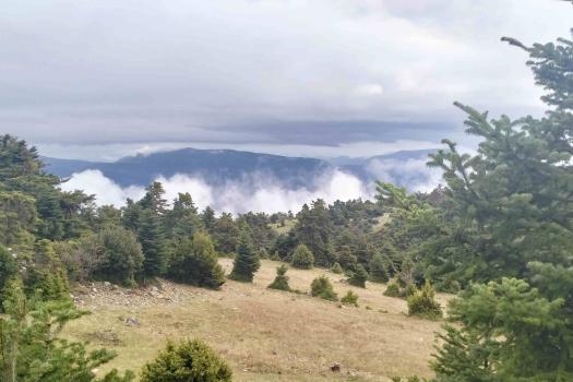 ΠΑΡΝΗΘΑ 14/12/2025