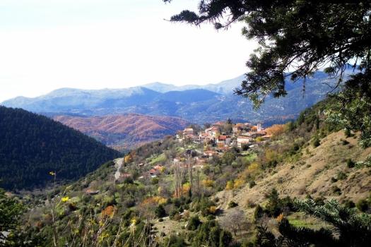 Add Image Description