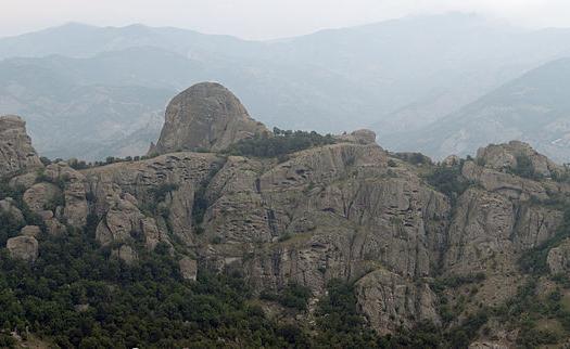 Add Image Description