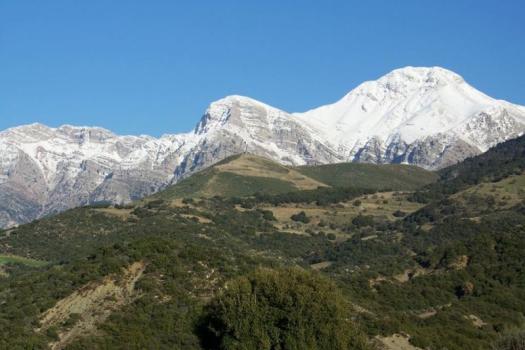 Add Image Description