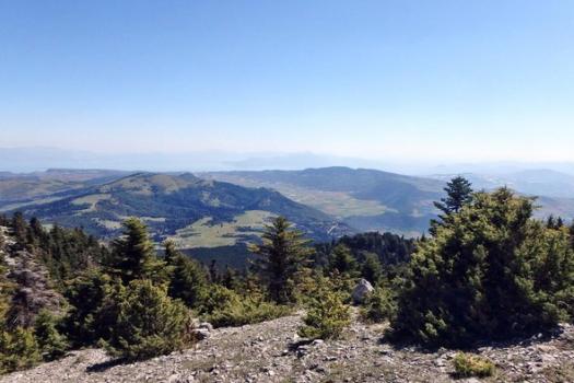 Add Image Description