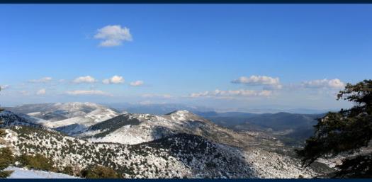 Add Image Description