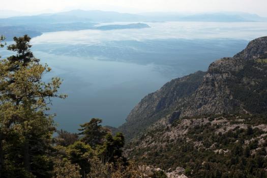 Add Image Description