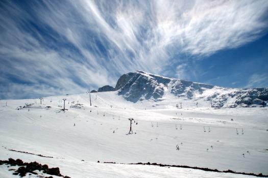 Add Image Description