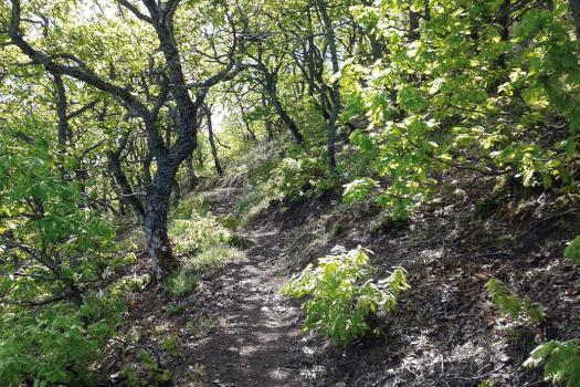 Add Image Description