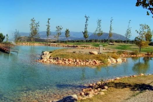 Add Image Description