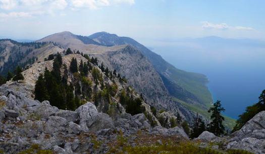 Add Image Description