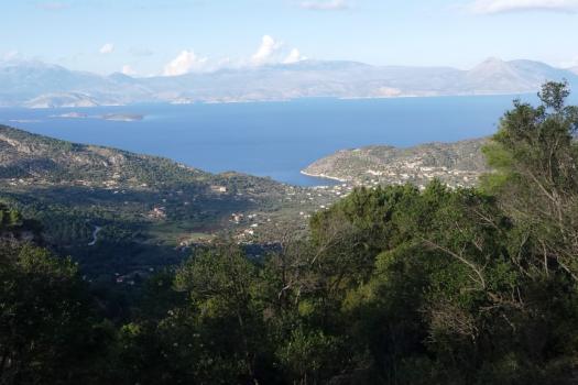 Add Image Description