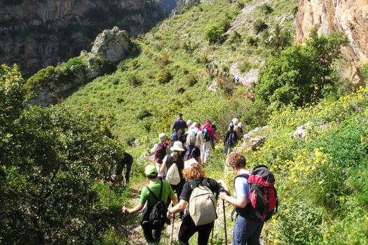 Add Image Description