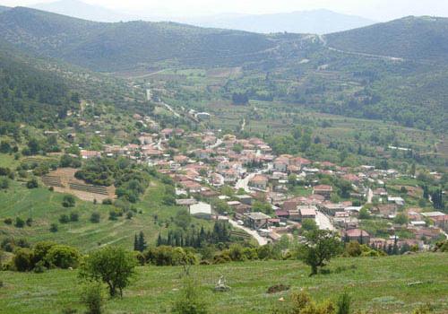 Add Image Description