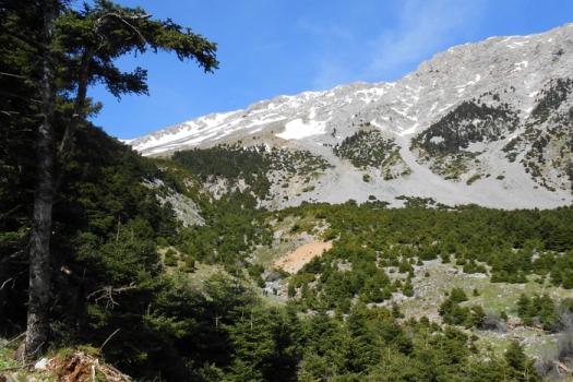 Add Image Description