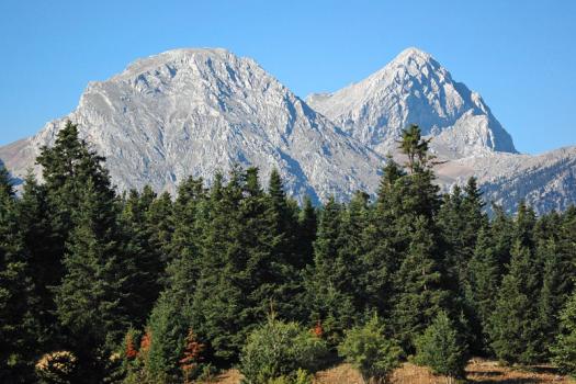 Add Image Description