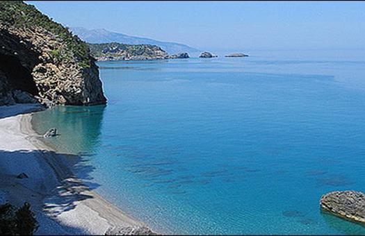 Add Image Description