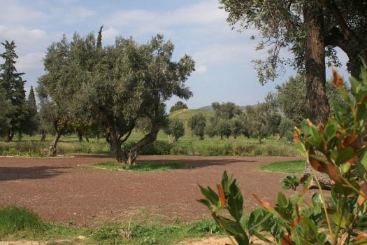 Add Image Description