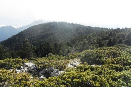 Add Image Description